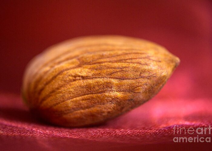 Almond Greeting Card featuring the photograph Single Almond on Red by Iris Richardson