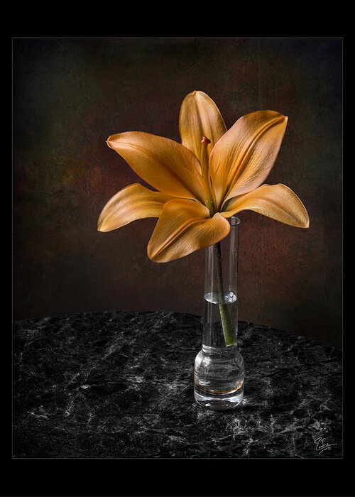 Flower Greeting Card featuring the photograph Single Asiatic Lily in Vase by Endre Balogh