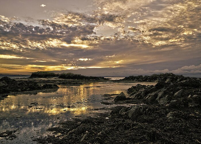 Skerries Sunset Greeting Card featuring the photograph Skerries Sunset by Martina Fagan