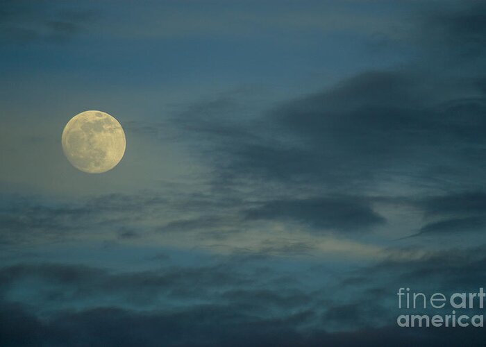 Moon Greeting Card featuring the photograph Sky Moon by Dale Powell