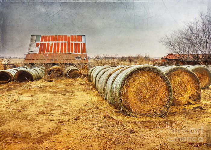 Barn Greeting Card featuring the photograph Slumbering in the Countryside by Betty LaRue