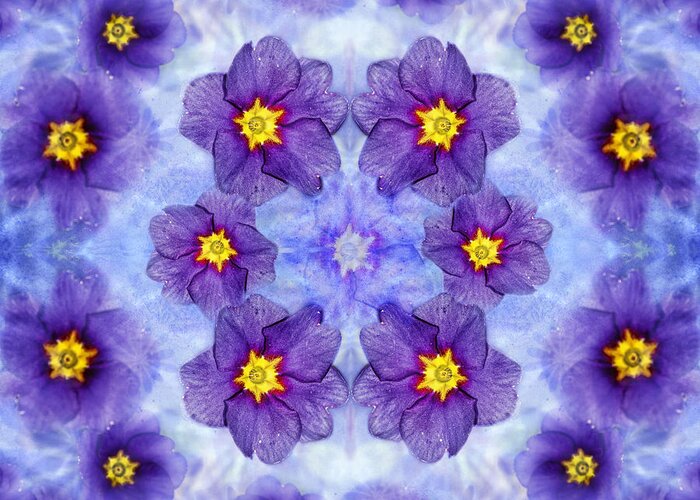 Primrose Greeting Card featuring the photograph Small Purple Flowers - Medium by Belinda Greb