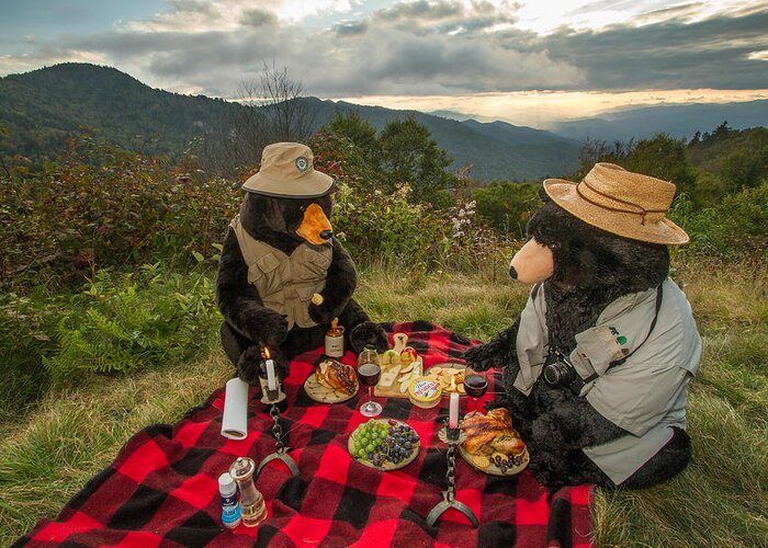 Picnic Greeting Card featuring the photograph Picnic in the Smokies by Doug McPherson