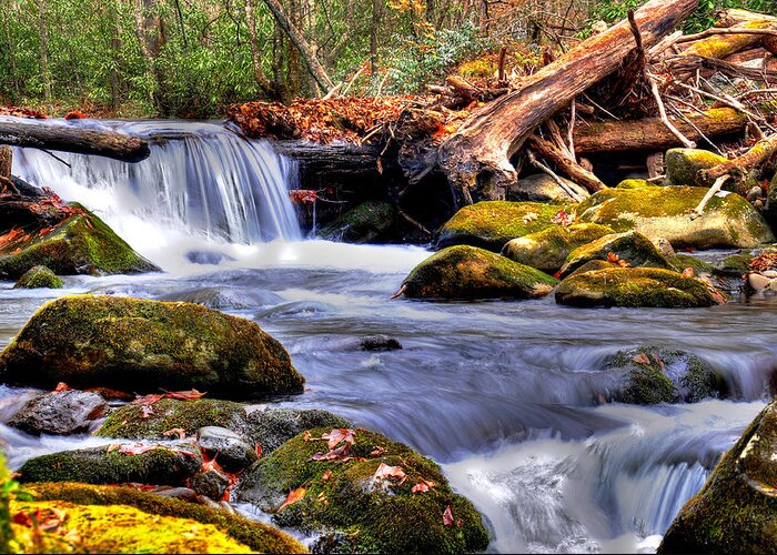 Smoky Mountain National Park Greeting Card featuring the photograph Smoky Mountain Waterfall by Craig Burgwardt