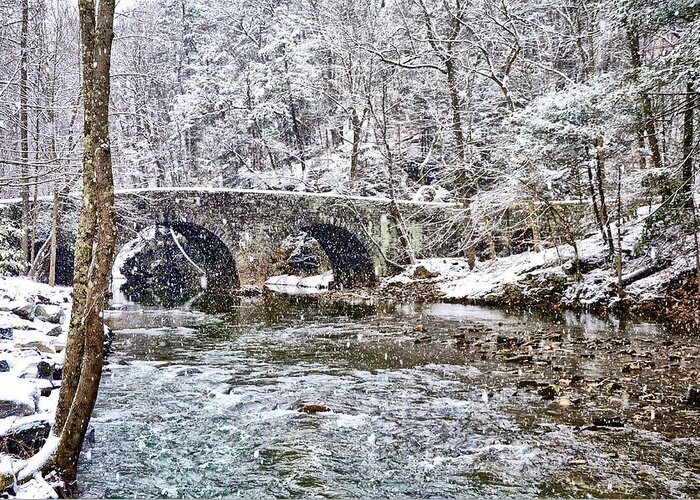 Snow Greeting Card featuring the photograph Snow Coming Down on the Wissahickon Creek by Bill Cannon