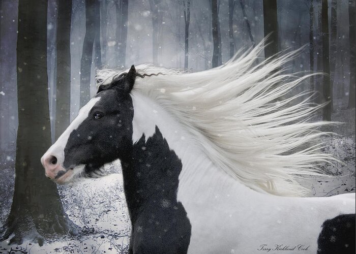 Equine Greeting Card featuring the photograph Snow Dancing by Terry Kirkland Cook