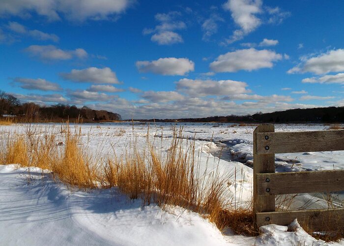Snow Greeting Card featuring the photograph Snow Marsh by Dianne Cowen Cape Cod Photography
