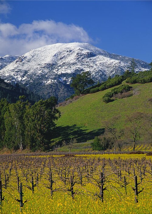 Rare Snow Greeting Card featuring the photograph 4B6385-Snow on Mt. St. Helena in Napa Valley by Ed Cooper Photography
