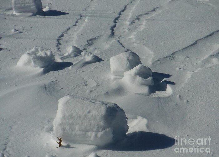 Snow Rollers Greeting Card featuring the photograph Snow Rollers 1 by Paddy Shaffer