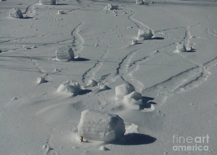 Snow Rollers Greeting Card featuring the photograph Snow Rollers 3 by Paddy Shaffer