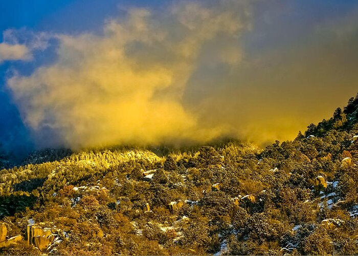 Sandia Mountains Greeting Card featuring the photograph Snow sweeping in low by Tommy Farnsworth