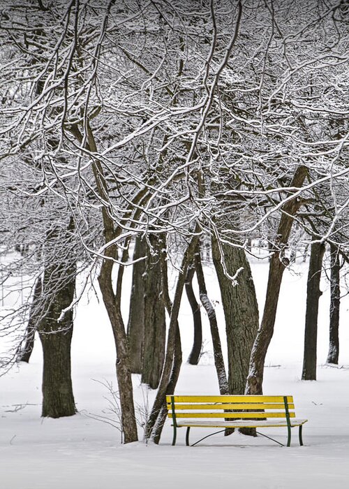 Snow Greeting Card featuring the photograph Snowfall at Garfield Park with Yellow Park Bench No. 1069 by Randall Nyhof