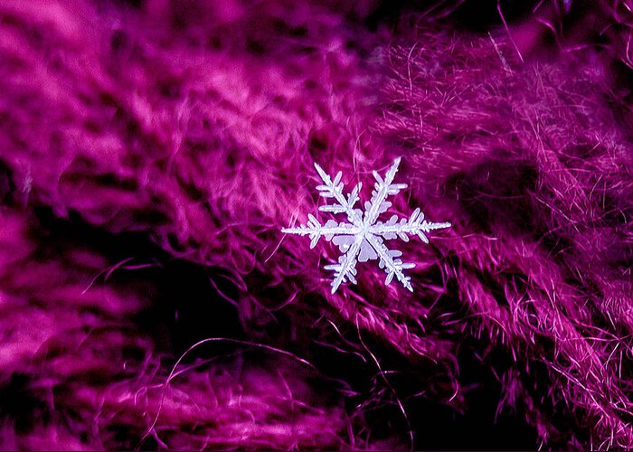 Crystal Greeting Card featuring the photograph Snowflake on Magenta by Dawn Key