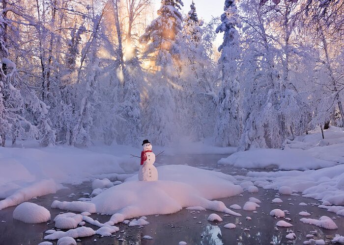 Smith Greeting Card featuring the photograph Snowman Standing On A Small Island by Kevin Smith