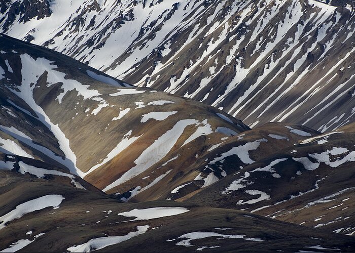 Feb0514 Greeting Card featuring the photograph Snowy Hillsides Denali Np Alaska by Michael Quinton