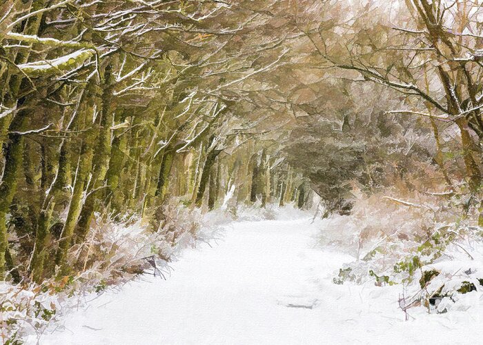 Winter Greeting Card featuring the digital art Snowy path by Liz Leyden