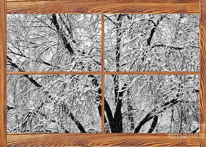 Windows Greeting Card featuring the photograph Snowy Tree Branches Barn Wood Picture Window Frame View by James BO Insogna