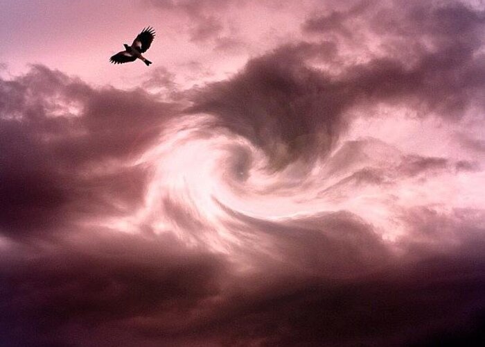 Instacanvas Greeting Card featuring the photograph Soar by Cameron Bentley