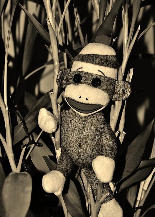 Monkey Greeting Card featuring the photograph SOCK MONKEY in HIS NATURAL HABITAT in SEPIA by Rob Hans