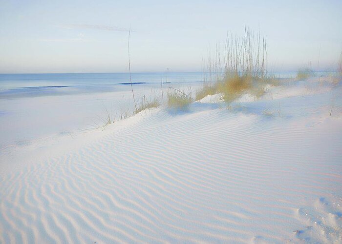 Alabama Greeting Card featuring the digital art Soft Sandy Beach by Michael Thomas