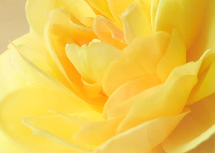 Rose Greeting Card featuring the photograph Soft Yellow Rose by Deborah Smith