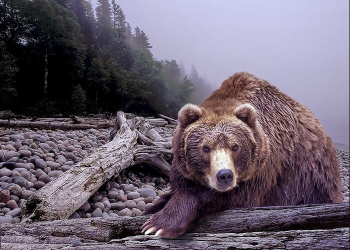 Art Greeting Card featuring the photograph Some Days You Eat the Bear Some Days the Bear Eats You by Randall Nyhof