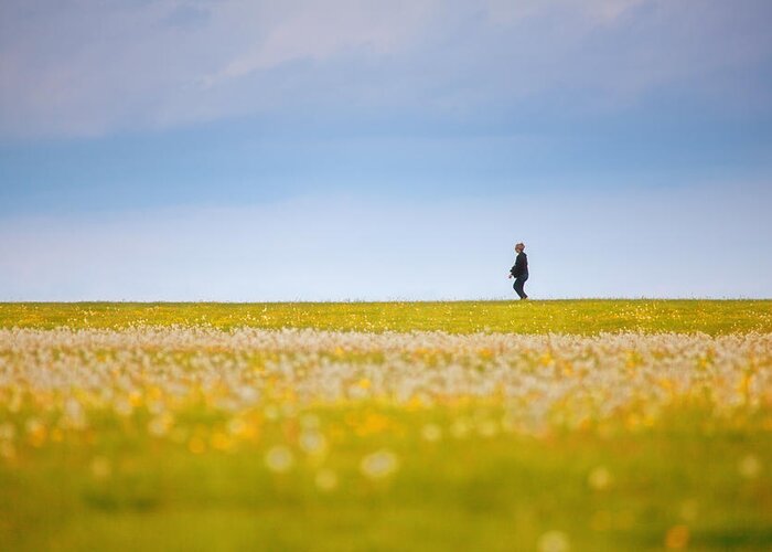 Landscape Greeting Card featuring the photograph Sometimes We All Walk Alone by Karol Livote