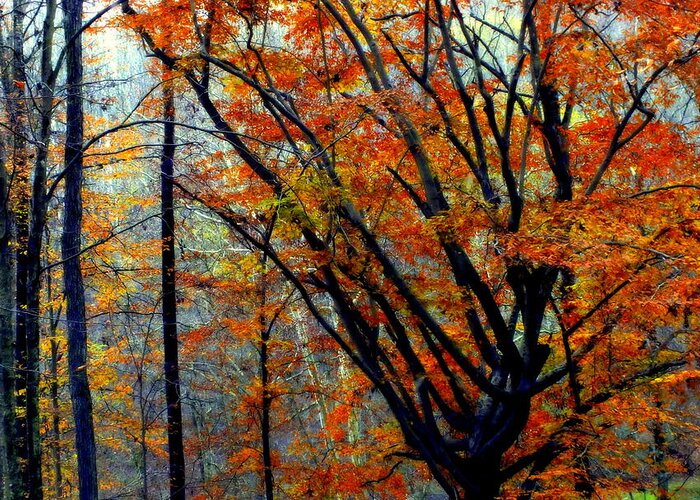 Autumn Greeting Card featuring the photograph SONG of AUTUMN by Karen Wiles