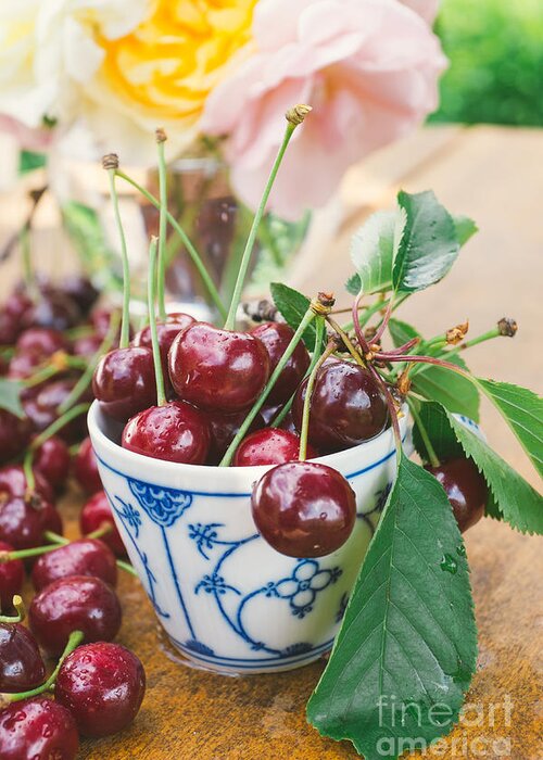 Sour Cherry Greeting Card featuring the photograph Sour cherries by Viktor Pravdica