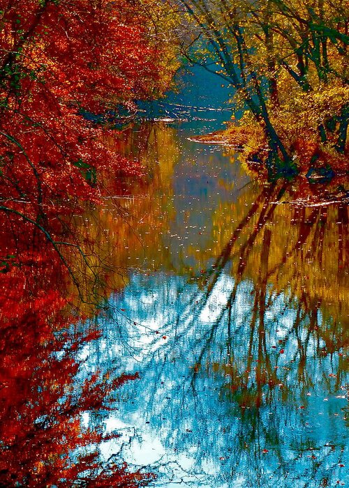 River Greeting Card featuring the photograph South Anna River Reflections by Jean Wright