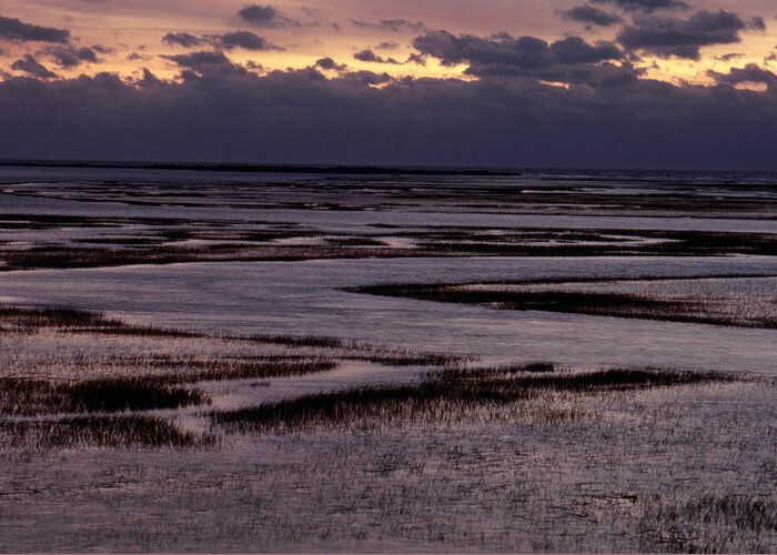 North Inlet Greeting Card featuring the photograph South Carolina Marsh At Sunrise by Larry Cameron
