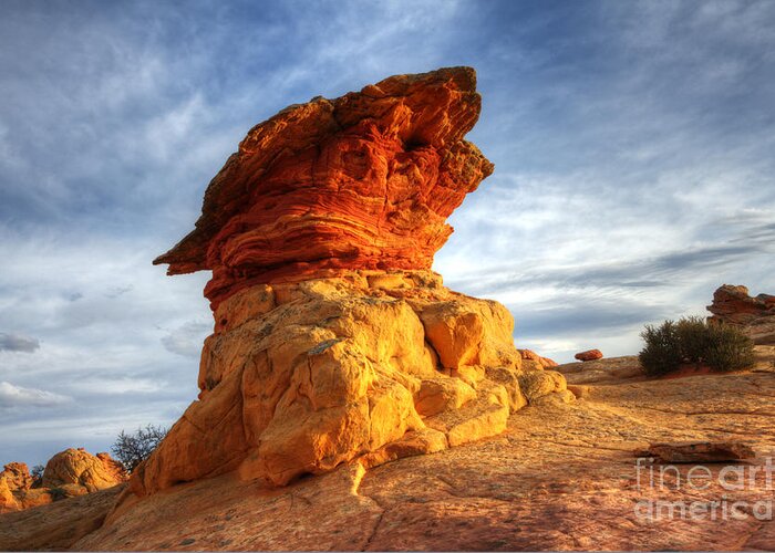 Rock Greeting Card featuring the photograph South Coyote Buttes 7 by Bob Christopher
