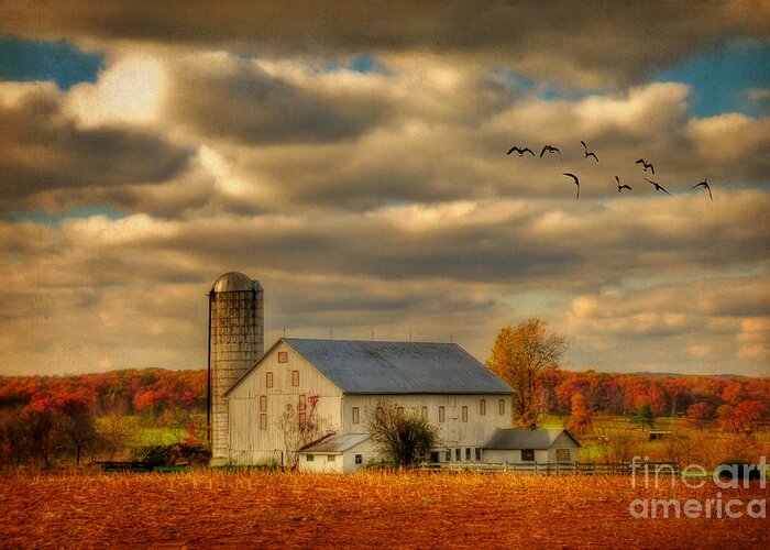 White Barn Greeting Card featuring the photograph South For The Winter by Lois Bryan