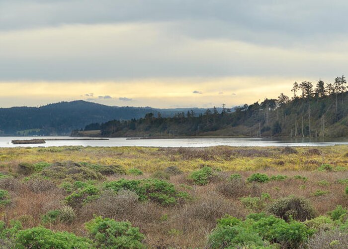 Humboldt Greeting Card featuring the photograph South Humboldt Bay by Jon Exley