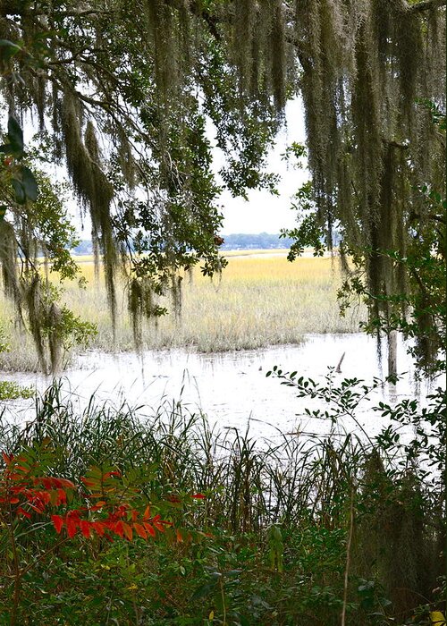 Lowcountry Landscape Greeting Card featuring the photograph Spanish Moss of Beaufort II by Teresa Tilley