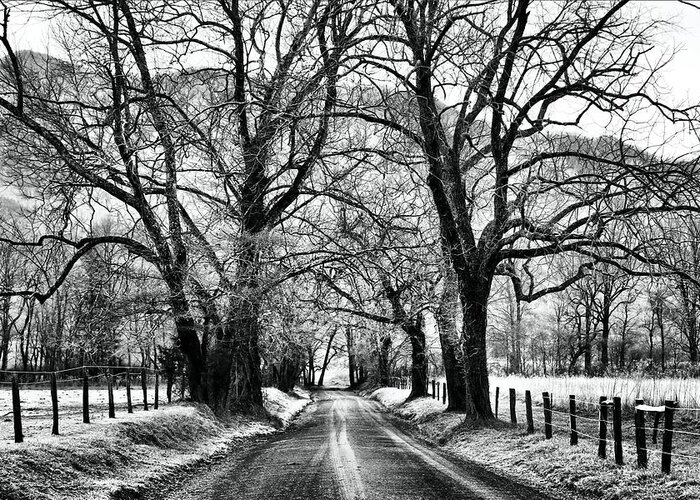Cades Cove Greeting Card featuring the photograph Sparks Lane During Winter by Carol Montoya