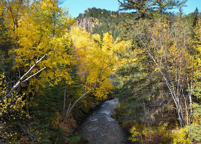 Dakota Greeting Card featuring the photograph Spearfish Creek in Fall Foliage by Greni Graph