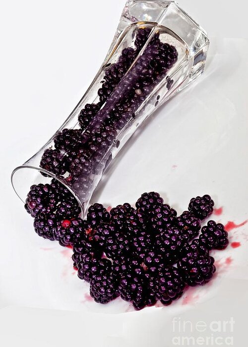 Black Greeting Card featuring the photograph Spilt BlackBerries by Shirley Mangini