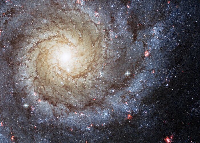 3scape Greeting Card featuring the photograph Spiral Galaxy M74 by Adam Romanowicz