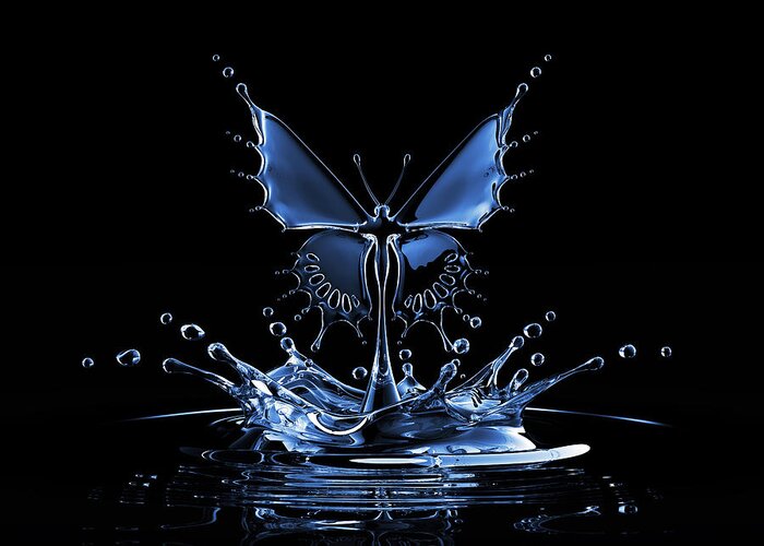 Environmental Conservation Greeting Card featuring the photograph Splash Of Water Butterfly by Blackjack3d