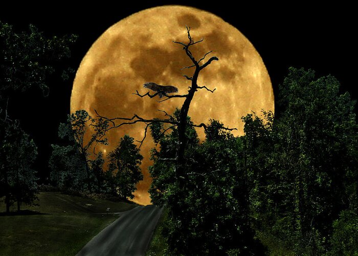 Moon Greeting Card featuring the photograph Spooky Road by David Yocum