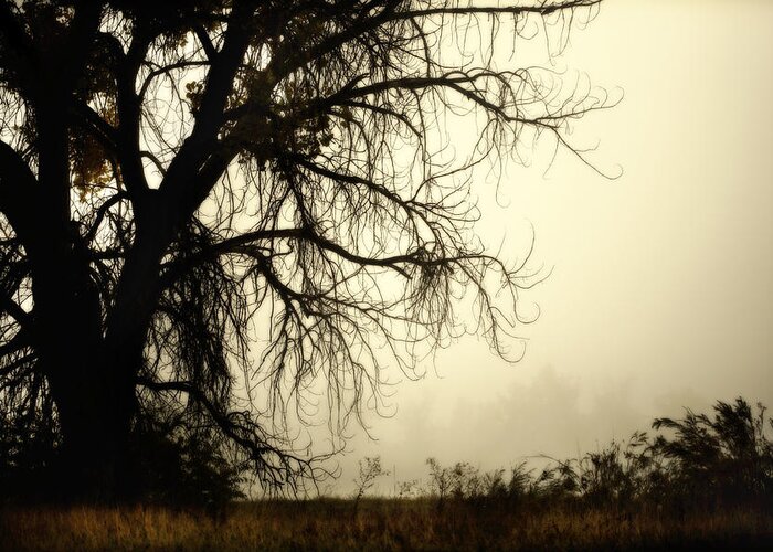 Fog Greeting Card featuring the photograph Spooky Tree by Marilyn Hunt