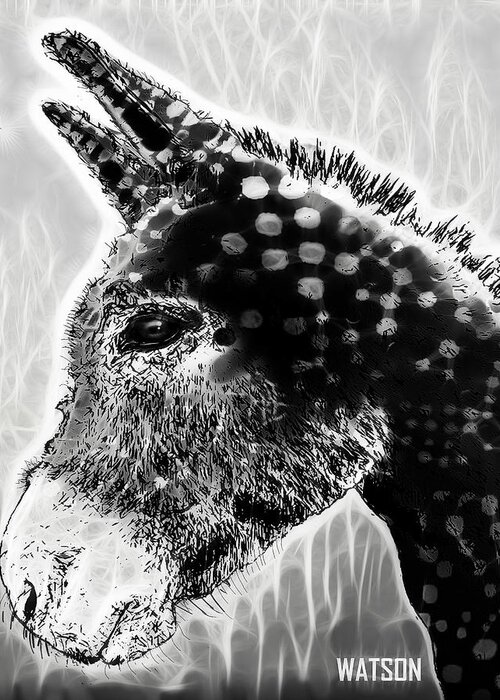 Young Greeting Card featuring the digital art Spotted Donkey- Black and White by Marlene Watson