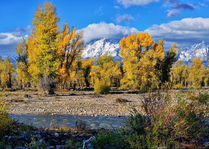 Spread Creek Greeting Card featuring the photograph Spread Creek Grand Teton National Park by Greg Norrell
