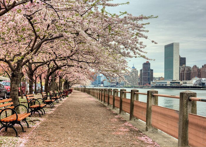 Nyc Greeting Card featuring the photograph Spring along the East River by JC Findley