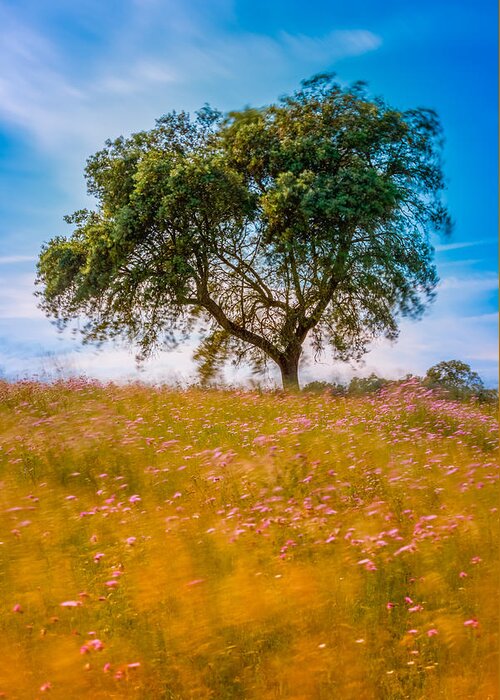 Blowing Greeting Card featuring the photograph Spring Breeze by Mark Rogers