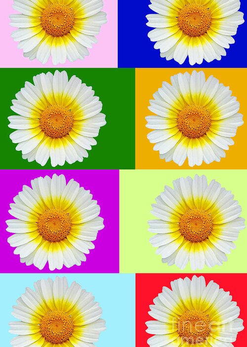 Collage Of Spring Flower Greeting Card featuring the photograph Spring Collage by Kasia Bitner