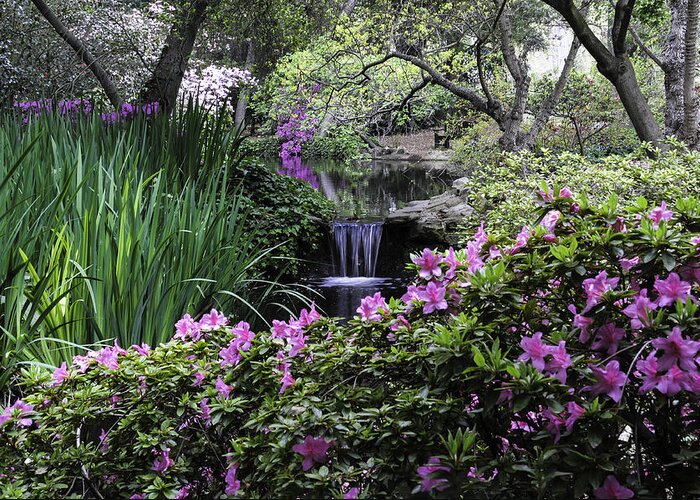 Azalea Greeting Card featuring the photograph Spring Falls by Lynn Bauer