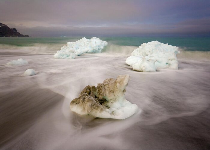 00345813 Greeting Card featuring the photograph Spring Glacial Ice Along St Andrews Bay by Yva Momatiuk John Eastcott