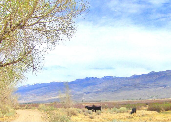 Sky Greeting Card featuring the photograph Spring in Owens Valley by Marilyn Diaz